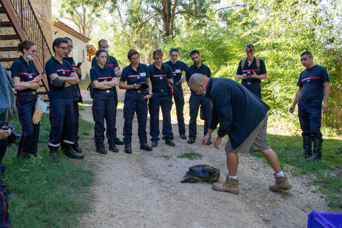 Formation secours médicaux - ENSOSP